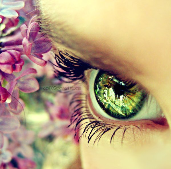 Зеленые глаза и цветы