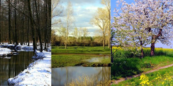 Весенние месяцы