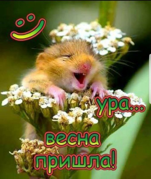 Поздравление с первым днем весны