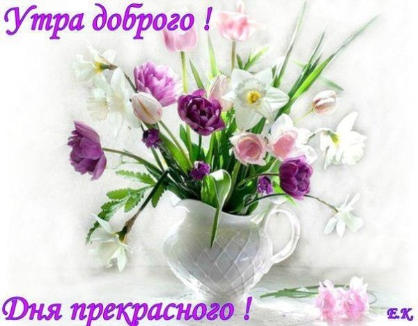 Прекрасного доброго утра и прекрасного дня