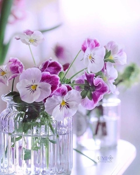 Доброго дня и прекрасного