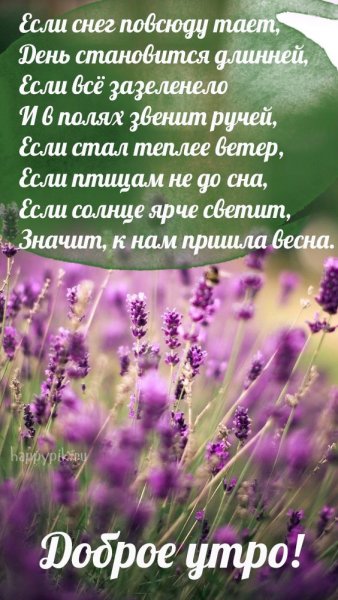 Пожелания доброго весеннего утра
