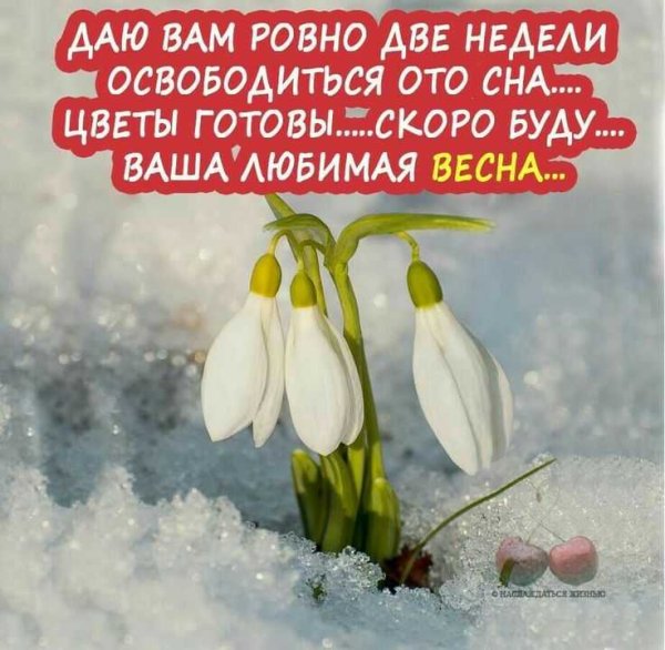 Пожелания на весь день