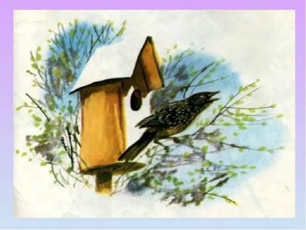 Скорец, суворовушка, скворечник