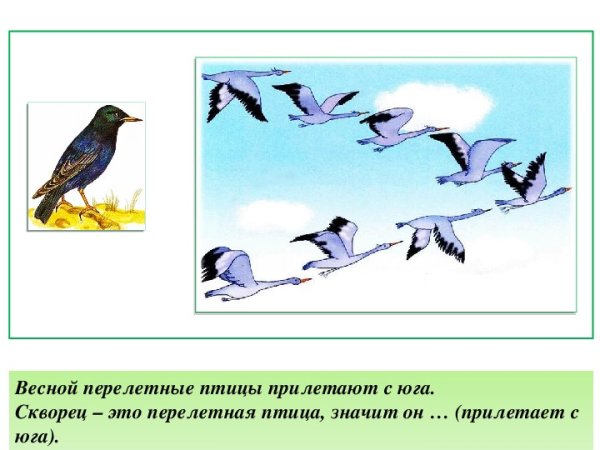 Картина птицы прилетели