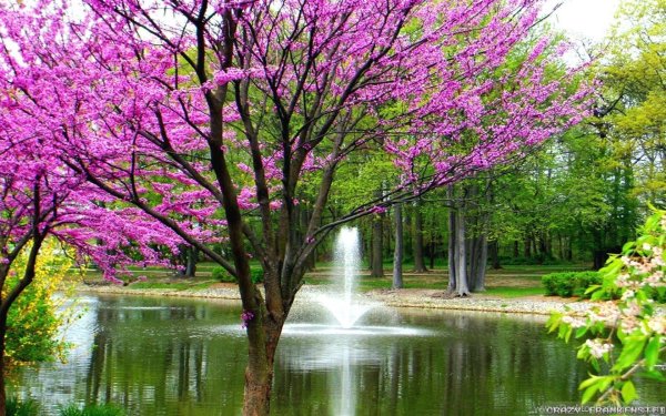 Природа в марте