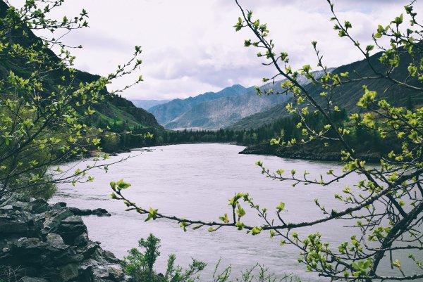 Горный Алтай Весна