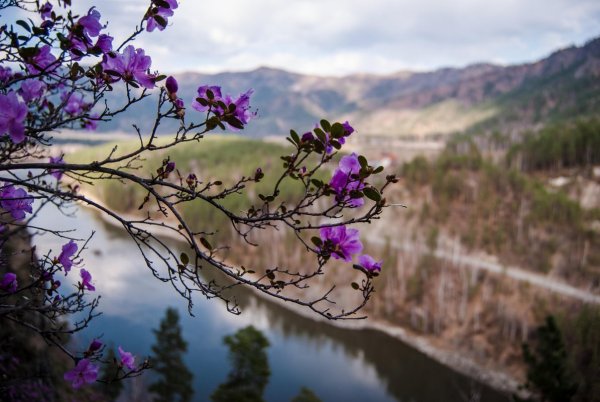 Саяны Долина Алтайский край