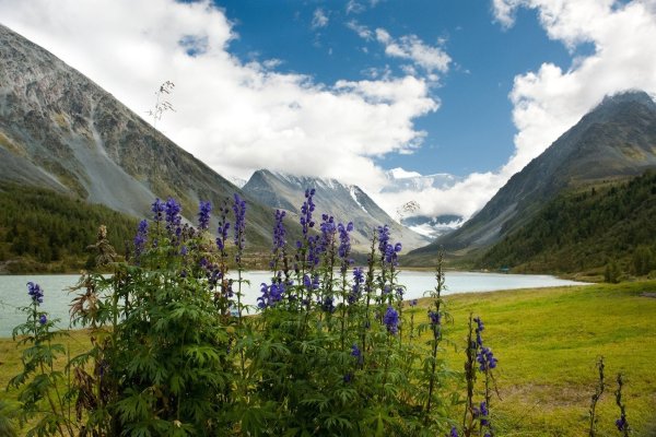 Глейшер (национальный парк, Канада)
