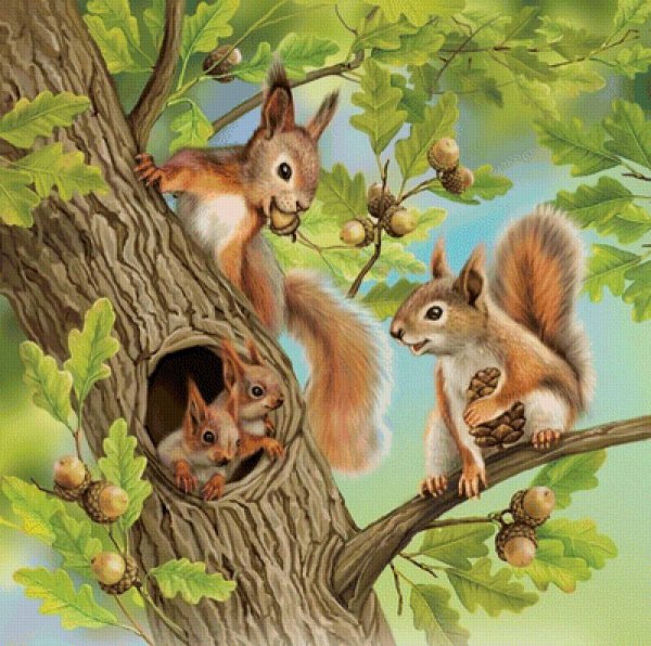 Лесные жители