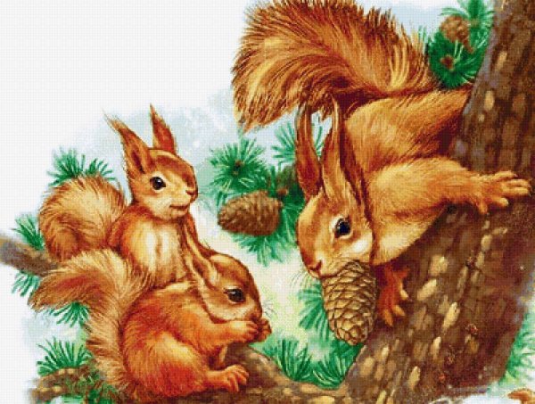 Картина белка с бельчатами