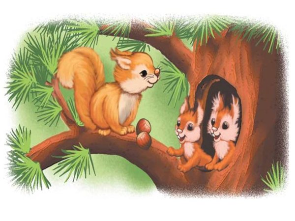 Лесные животные белка с бельчатами