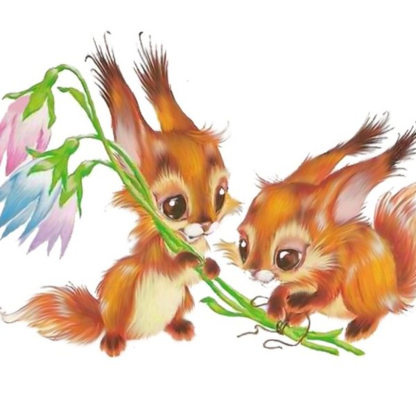 Дикие животные белка и Бельчонок