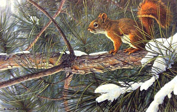 Белочка Весна