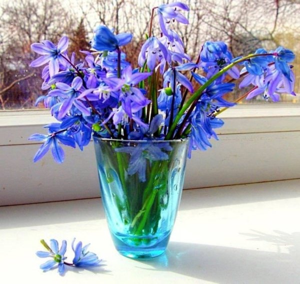 С добрым утром скоро Весна