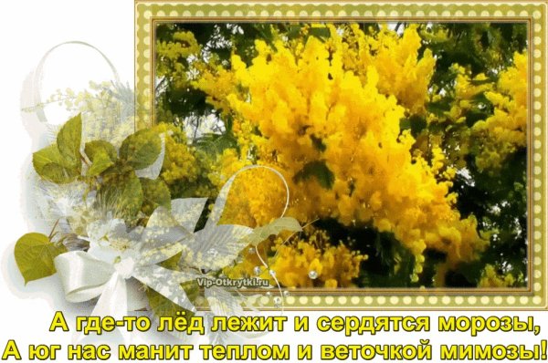 Дня теплого и солнечного Весна