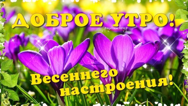 С добрым утром Весна