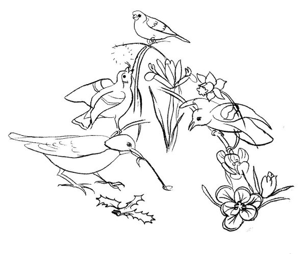 Трафарет птицы для рисования детям