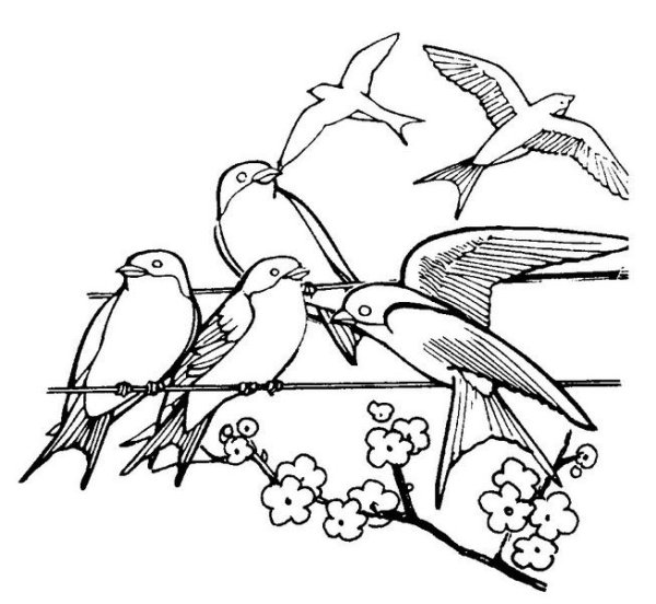 Перелетные птицы рисунок