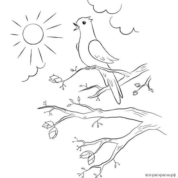 Раскраска природа для детей