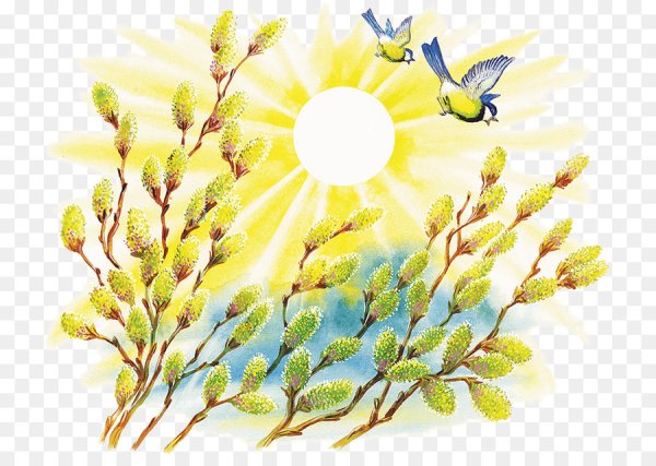 Весна подснежники солнце