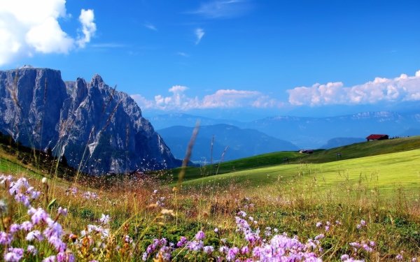 Альпийские Луга Германии