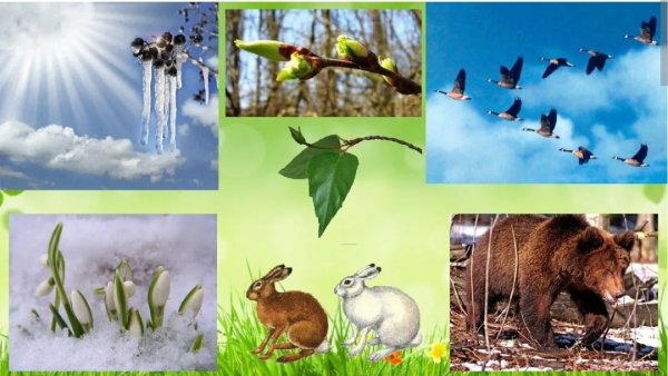 Весенние изменения в природе