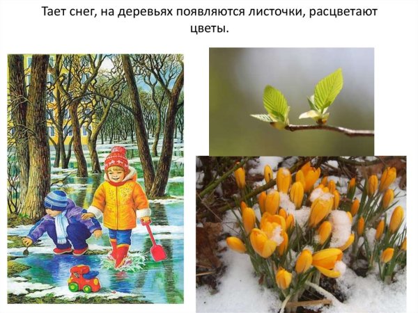 Весенняя презентация