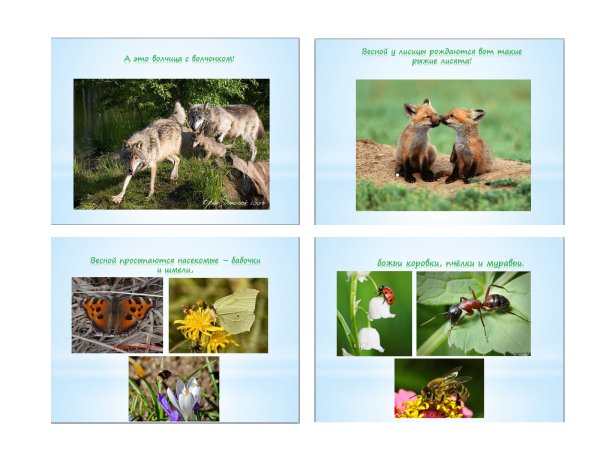 Весна изменения в природе