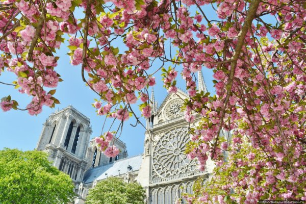 Париж весной