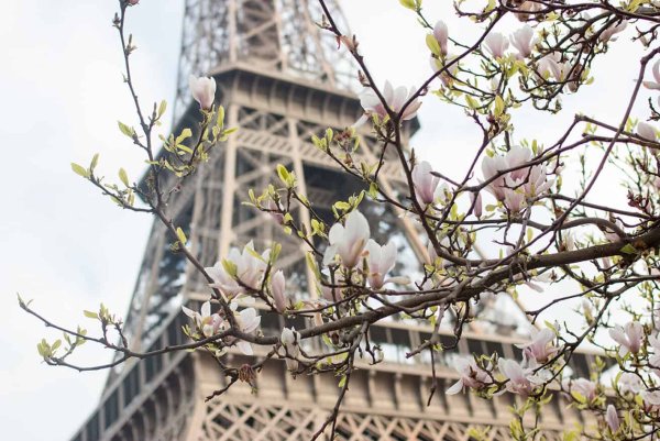 Эйфелева башня в Париже фото