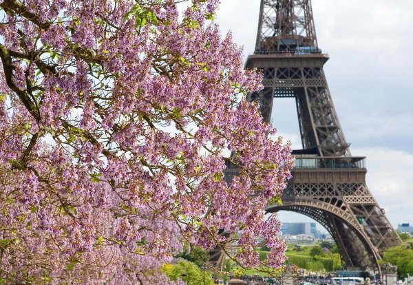 Дождь в Париже ()