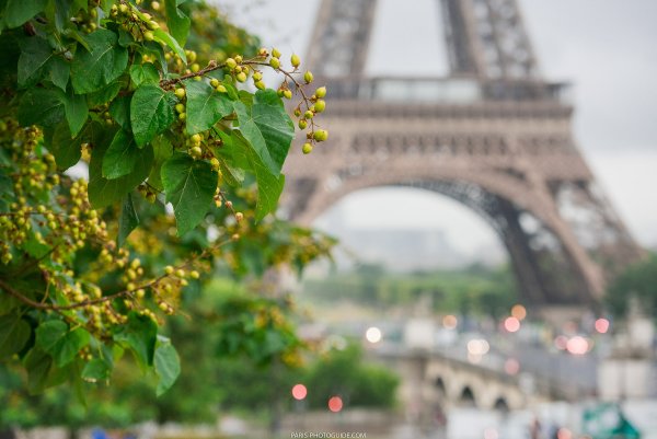 Архитектура Париж Весна вертикальные