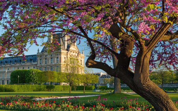 Париж Эйфелева башня акварель