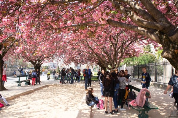 Париж ранней весной