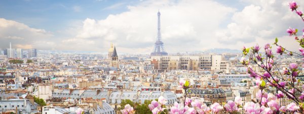 Нотр дам де пари