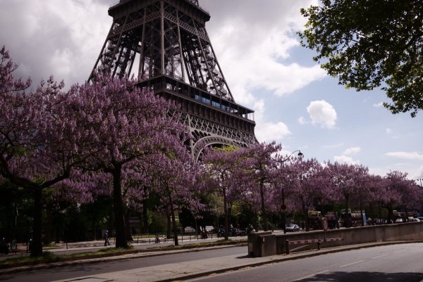 Весенний сад Франция