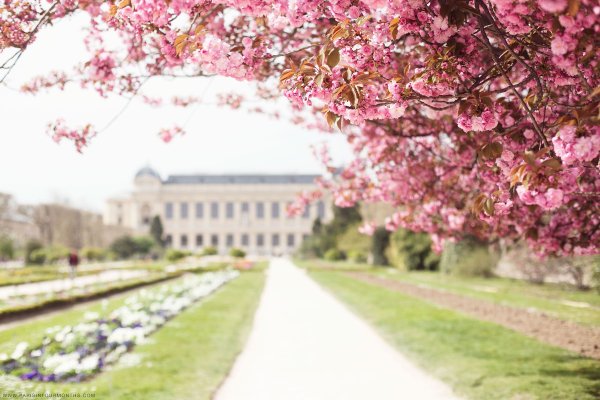 Весна в Париже