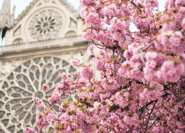 Эйфелева башня Эстетика