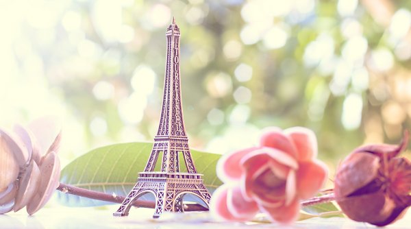 Сад Тюильри вишня