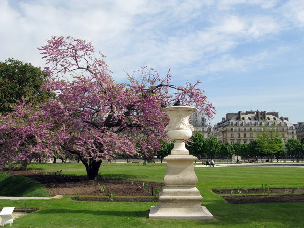 Эйфелева башня в Париже в синих тонах