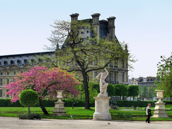 Париж эльфивая башня цветы