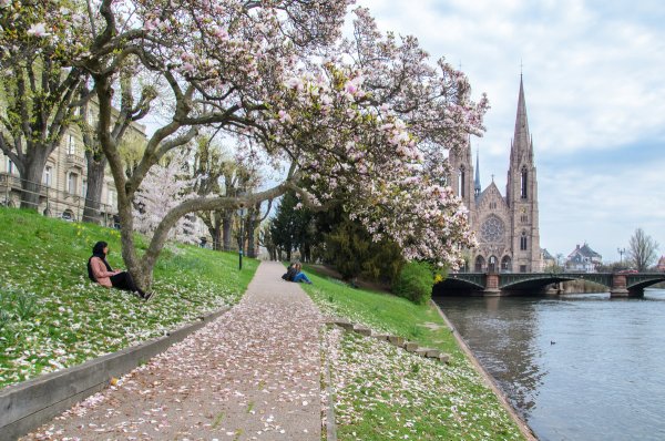 Париж ранней весной