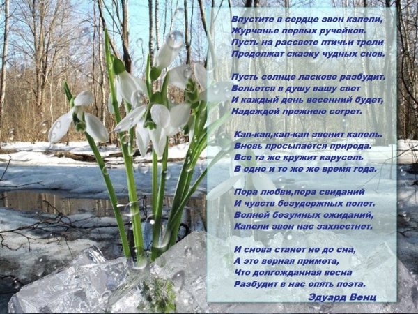 Апрель апрель звенит капель