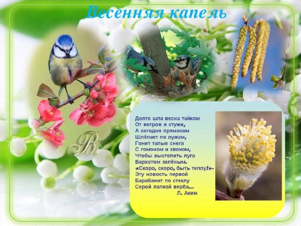 Конкурс чтецов Весенняя капель