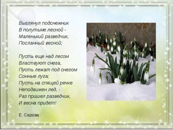 Рассказ о подснежнике