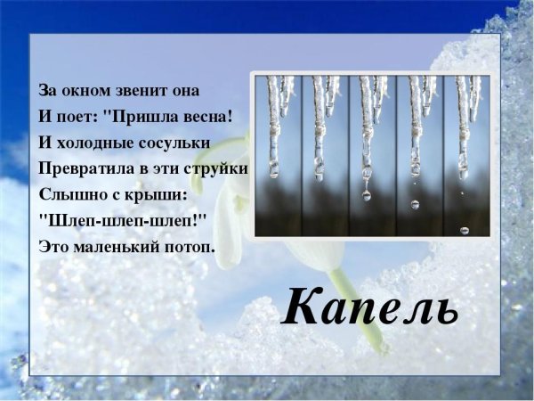 Стихи про капель