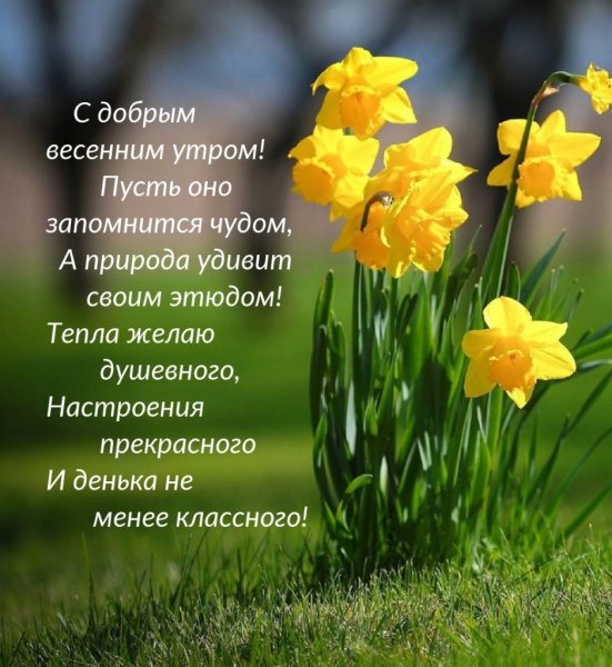 Доброе Весеннее утро