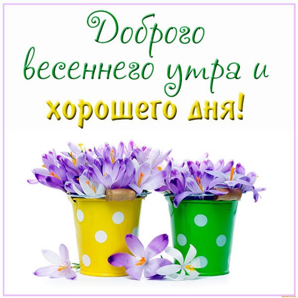 Доброе утро Весна природа с надписью