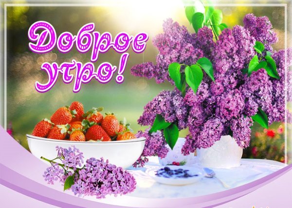 Доброе Весеннее утро